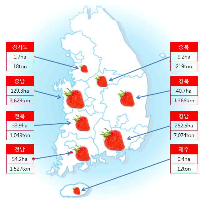 딸기 지역별 GAP 인증 현황