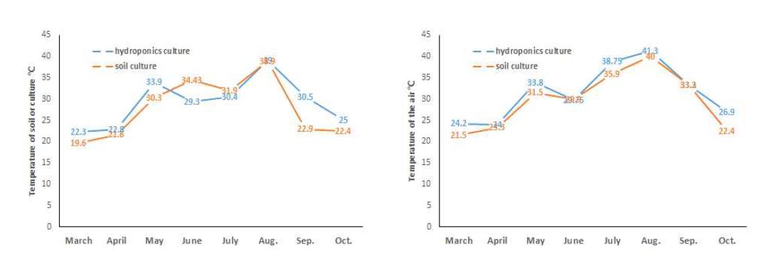 토마토 농가의 토양 또는 배지(왼쪽) 와 시설내 온도변화(오른쪽)