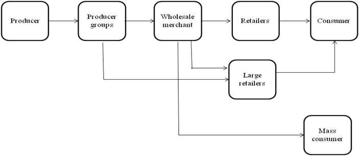 Distribution channels