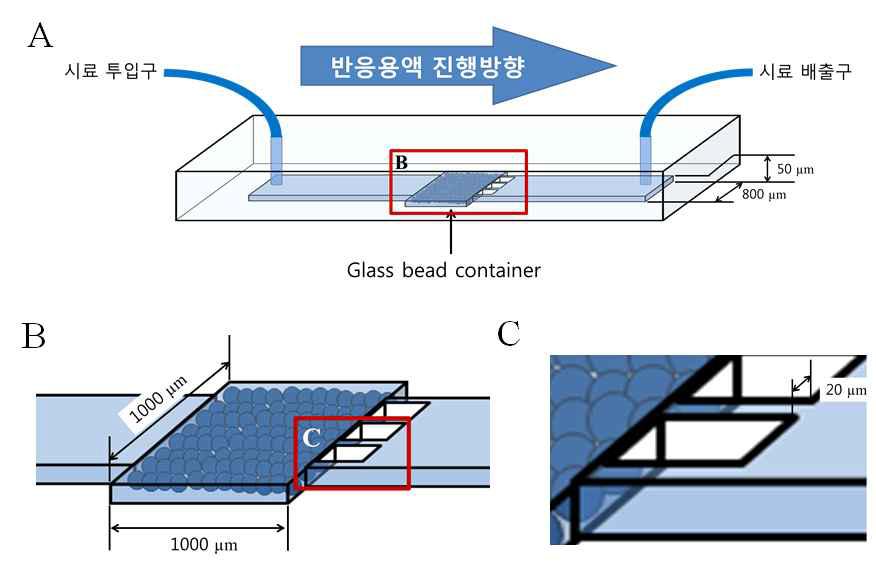 PDMS (polydimethyl siloxane) 재질의 암표지 단백질 검출 면역 진단칩