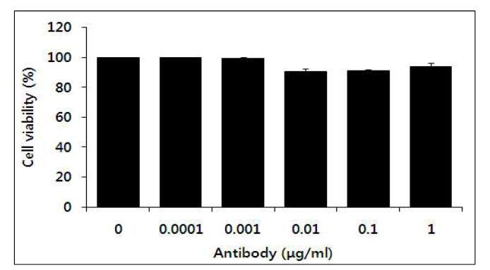 대식세포(Raw 264.7)를 이용한 식물복합항체의 세포독성평가