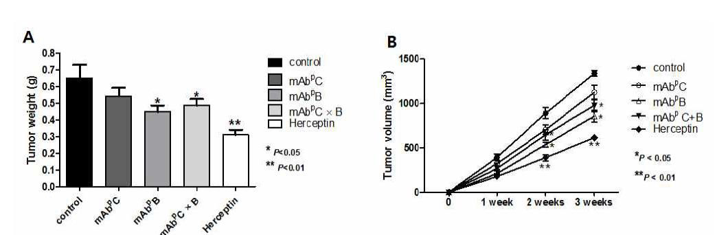 유방암 xenograft 동물 모델에서의 식물복합항체 활성 평가(A) 종양크기 (B) 종양무게