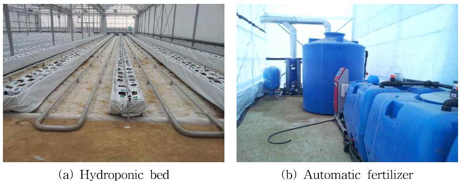 Hydroponic bed and automatic fertilizer.