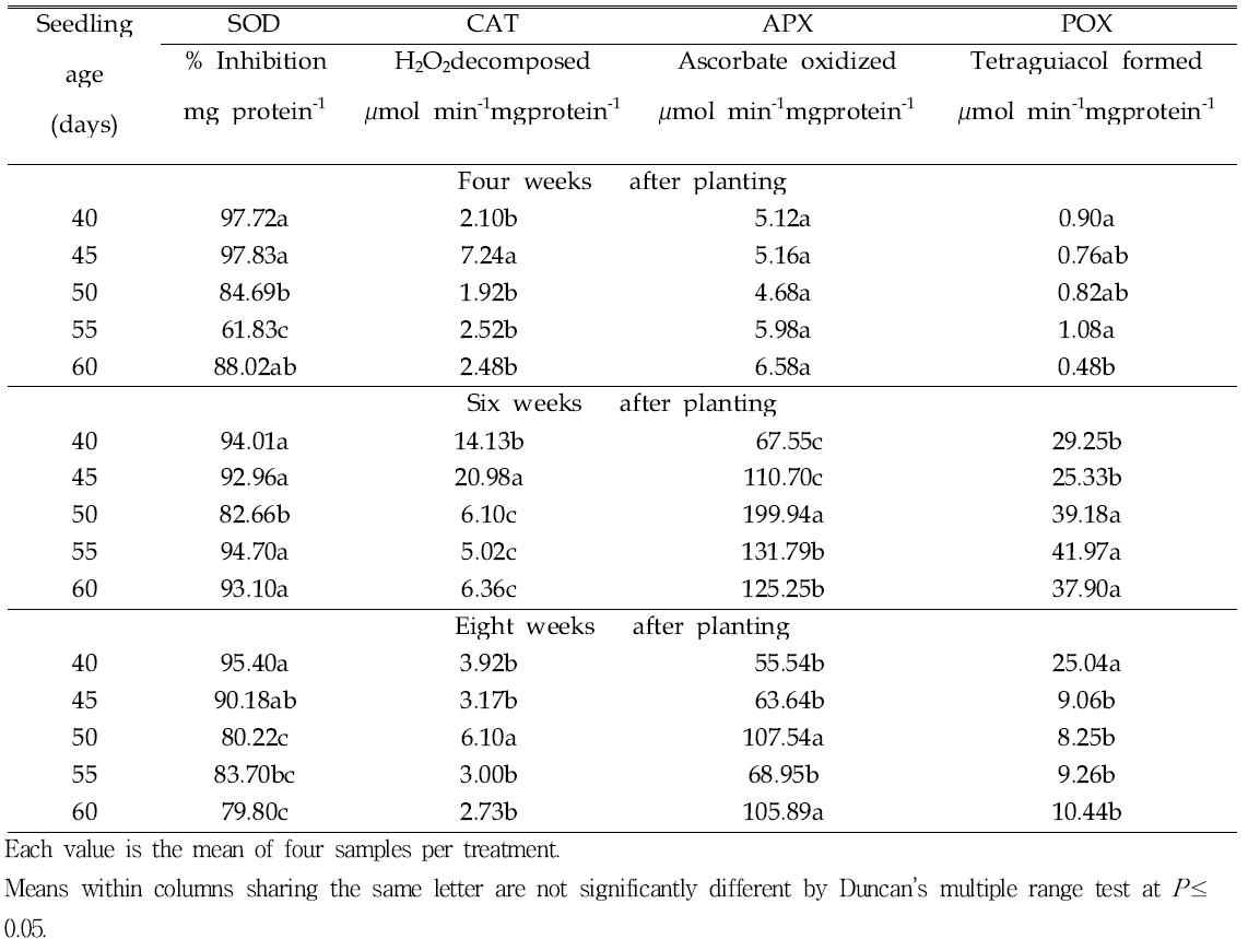 Effect of seedling age on an antioxidant enzymes of tomato leaves at week 4, 6, 8 after planting.