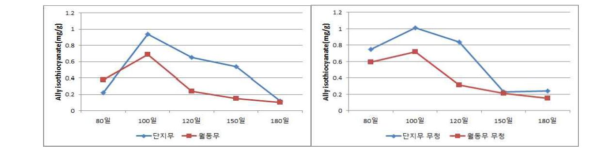 수확시기에 따른 단지무와 관동여름무의 AITC 함량