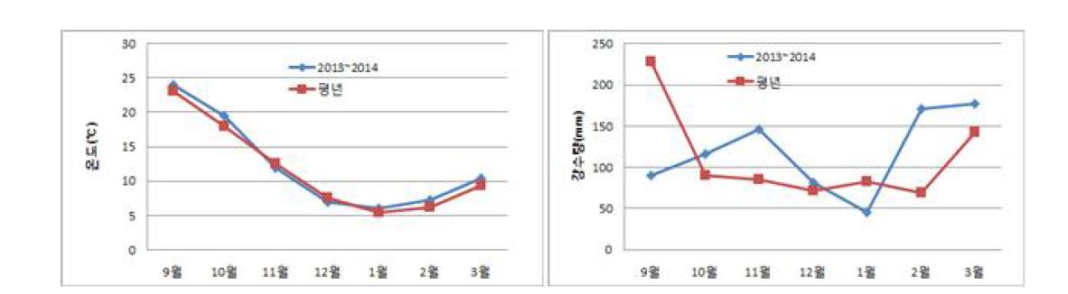 단지무와 관동여름무 생육기 동안의 기상 개황