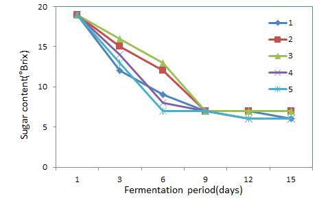 Changes of sugar content by lactic acid bacteria fermentation of ginseng fruit pulp collected after seed separating.