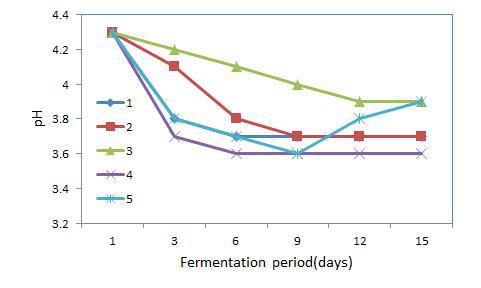 Changes of pH by lactic acid bacteria fermentation of ginseng fruit pulp collected after seed separating.