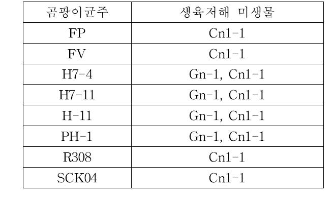 Fusarium에 길항성인 토양 분리 미생물