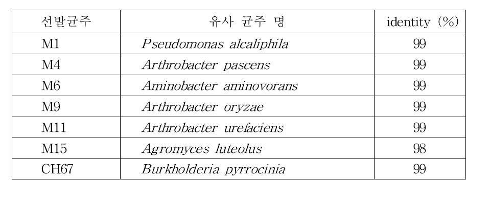 ZEA를 분해하는 것으로 선발된 균주들의 동정