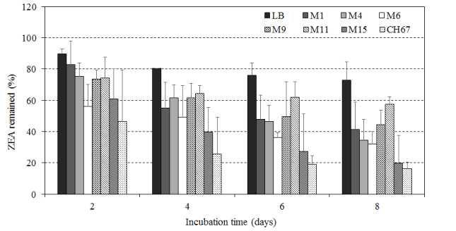배양시간별 배지에 잔류하는 ZEA의 비율. M15 균주와 CH67균주의 경우 4일째부 터 모든 다중검정의 결과 대조구나 다른 균주들과 1% 유의수준에서 ZEA 잔류량이 다름이 인정되었다.