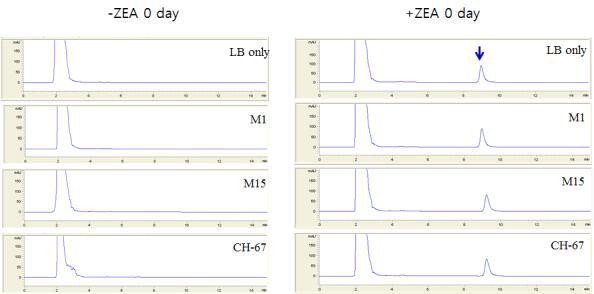 배양 초기 0일차에 배지에 첨가된 ZEA의 HPLC 검출. 파란색 화살표는 ZEA를 나 타내었다. ZEA가 첨가된 배지와 첨가되지 않는 시료의 0일째 비교
