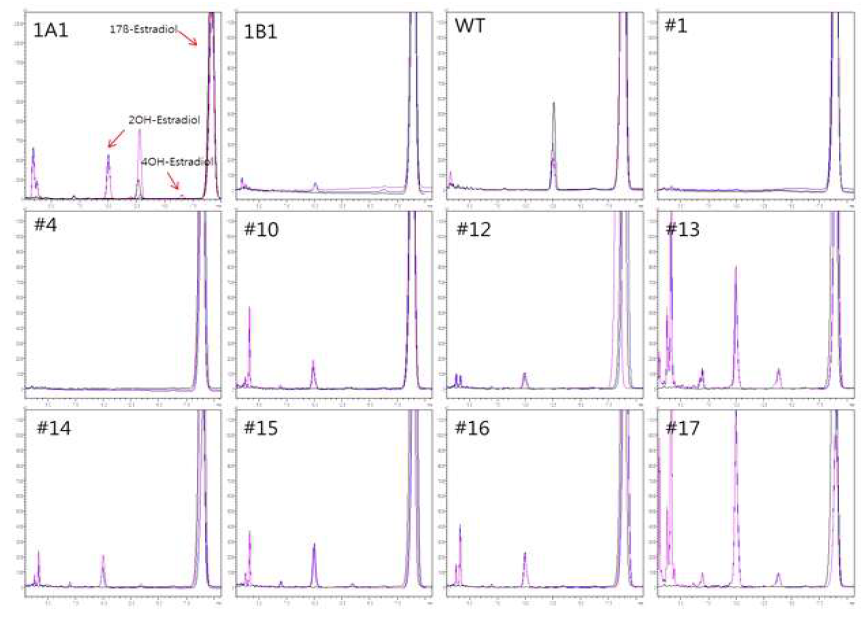 HPLC chromatograms of 17β-estradiol metabolites by human CYP1A1, CYP1B1 and CYP102A1 mutants.