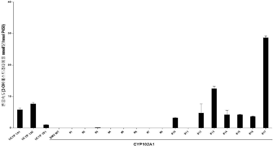 Rates of 17β-estradiol metabolite production by human CYP1A1, CYP1A2 and CYP102A1 mutants.