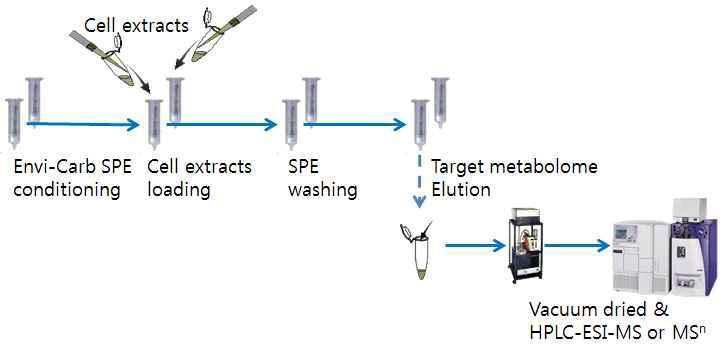 SPE 기법 최적화