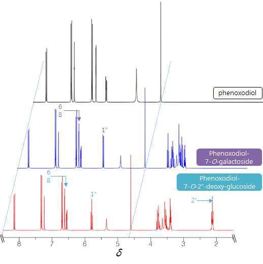 대장균 발현 재조합 당전이효소 MrGT1에 당공여체 다변화를 통하여 생합성된 당결합 페녹소다이올 화합물들의 1H-NMR 스펙트럼들