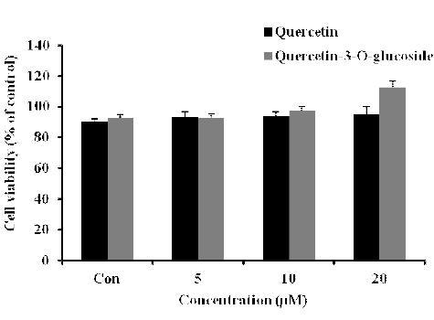 Effect of Quercetin and Quercetin-3-O-glucoside on viability of 3T3-L1 cells.