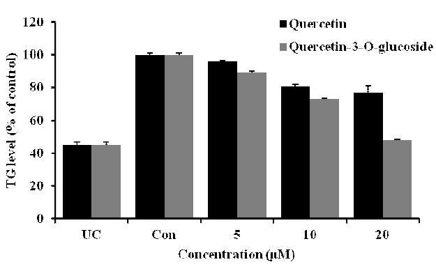 Effect of Quercetin and Quercetin-3-O-glucoside on the Triglycerid Level in 3T3-L1 adipocytes.