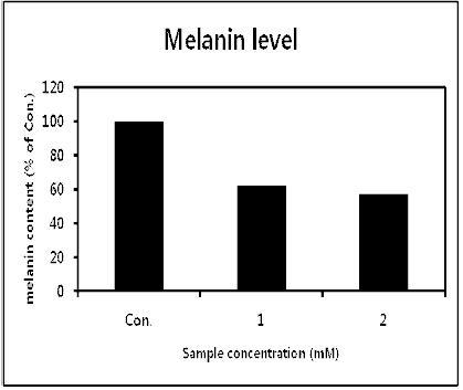 Effects of arbutin on the melanin content in B16F10 melanocytes.