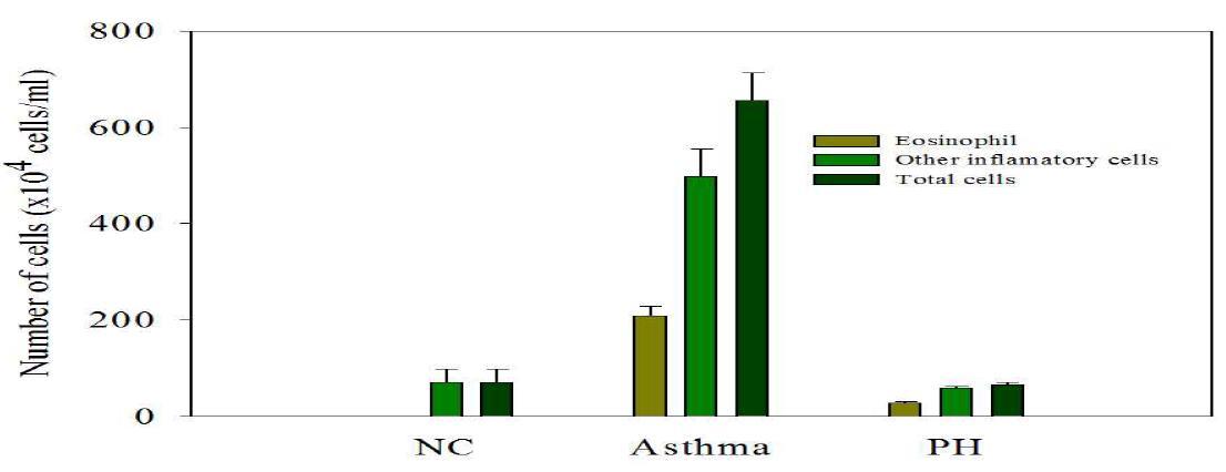 Effect of the phloretin (PH) on the recruitment of inflammatory cells in bronchoalveolar lavage fluid (BALF) of mice.