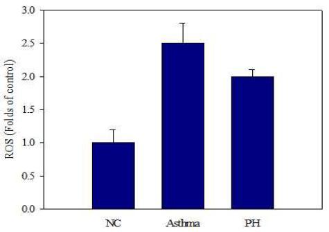 Effect of the phloretin (PH) on reactive oxygen species (ROS) in bronchoalveola lavage fluid (BALF) of mice.