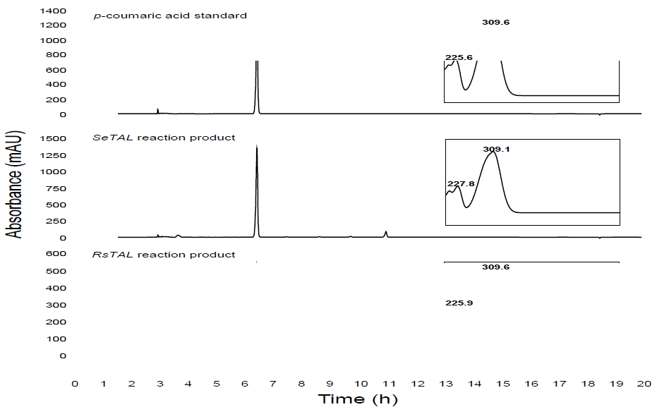 Analysis of SeTAL and RsTAL reaction producct using HPLC