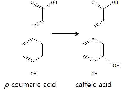 Conversion of p-coumaric acid to caffeic acid