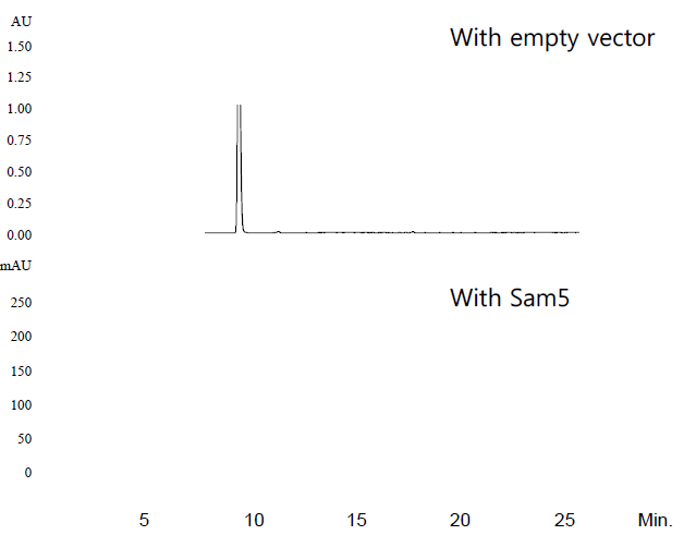 Analysis of p-coumaric acid biotransformation product