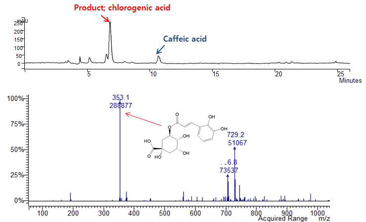 Analysis of biotransformation product of caffeic acid