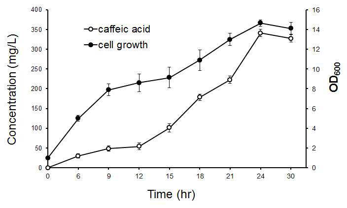 대장균에서 caffeic acid의 생산.