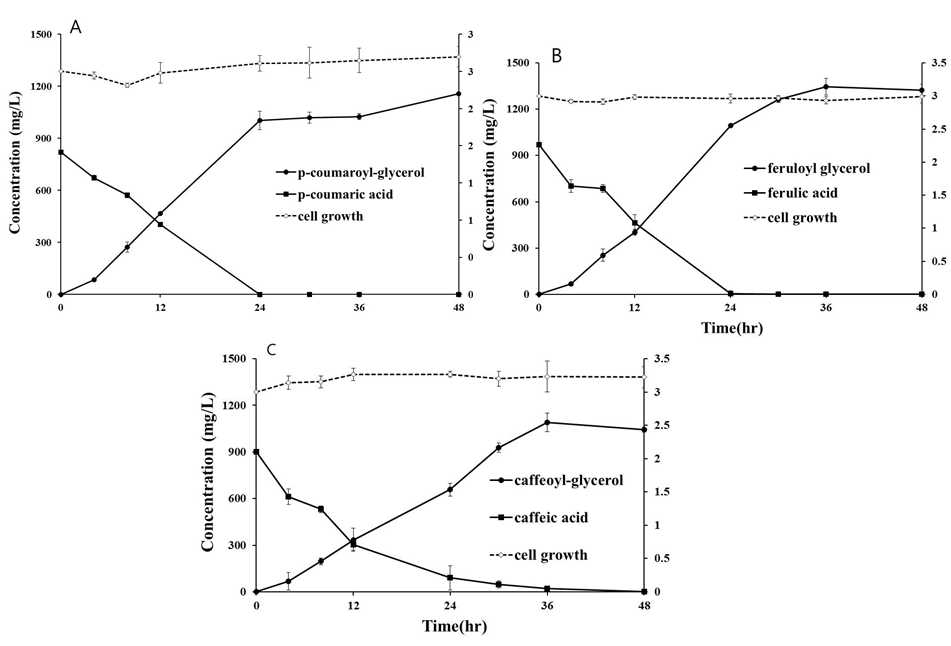 Production of hydroxycinnamoyl-glycerol using E.