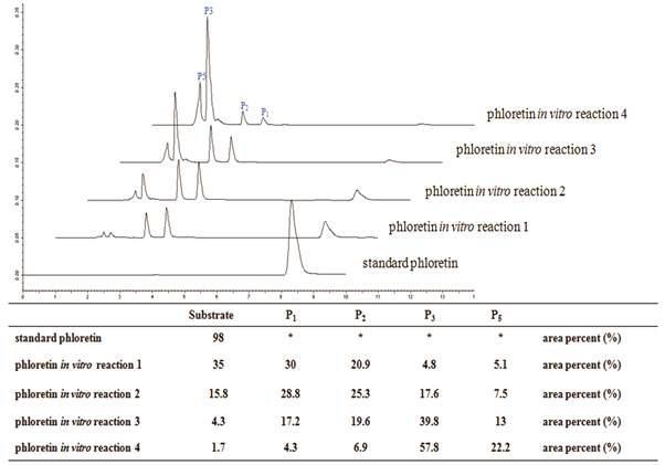 Comparative HPLC chromatogram for the in vitro reactions 1 to 4.