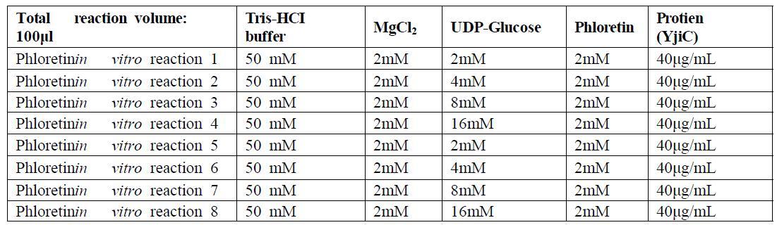 Reaction conditions for in vitro reaction at different donor substrate concentrations and time of incubation.