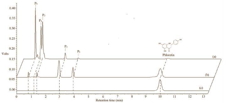 Liquid chromatograph. A) HPLC-PDA analysis.