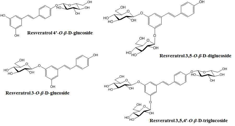당전이된 resveratrol glycoside의 구조