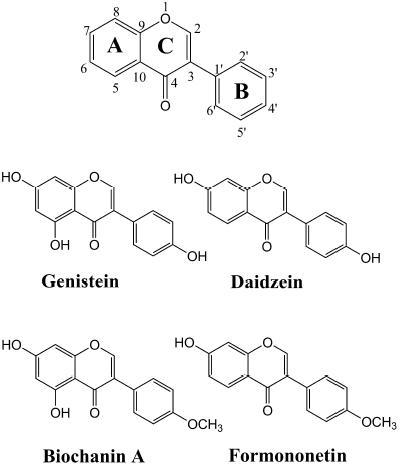 A typical structure of isoflavonoid along with four different commercially available isoflavonoids (genistein, biochanin A, daidzein and formononetin) used in this study.