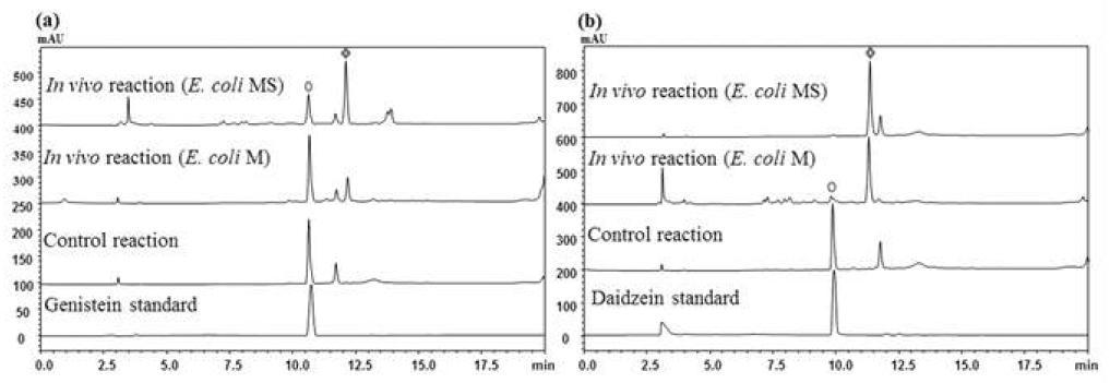 HPLC chromatogram of genistein and daidein reaction product with SaOMT2.