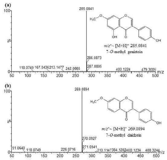 High resolution QTOF-ESI/MS profile of in vivo reaction product of genistein and daidzein with SaOMT2.