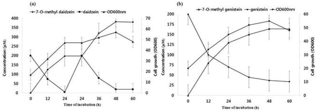 Large scale bioconversion using fermentor under control conditions of temperature, pH, and dissolved oxygen in TB medium.