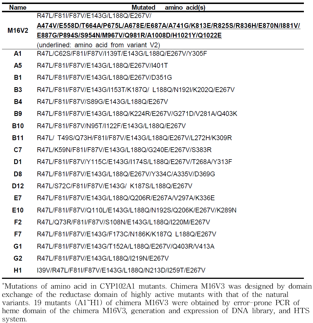 Variations in the amino acid sequences of the CYP102A1 chimera, M16V3, and its mutants