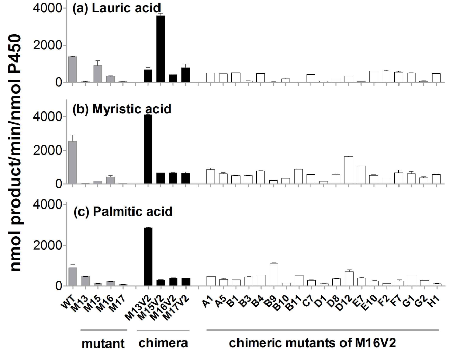 Fatty acid hydroxylase activity of the CYP102A1 chimeric mutants.