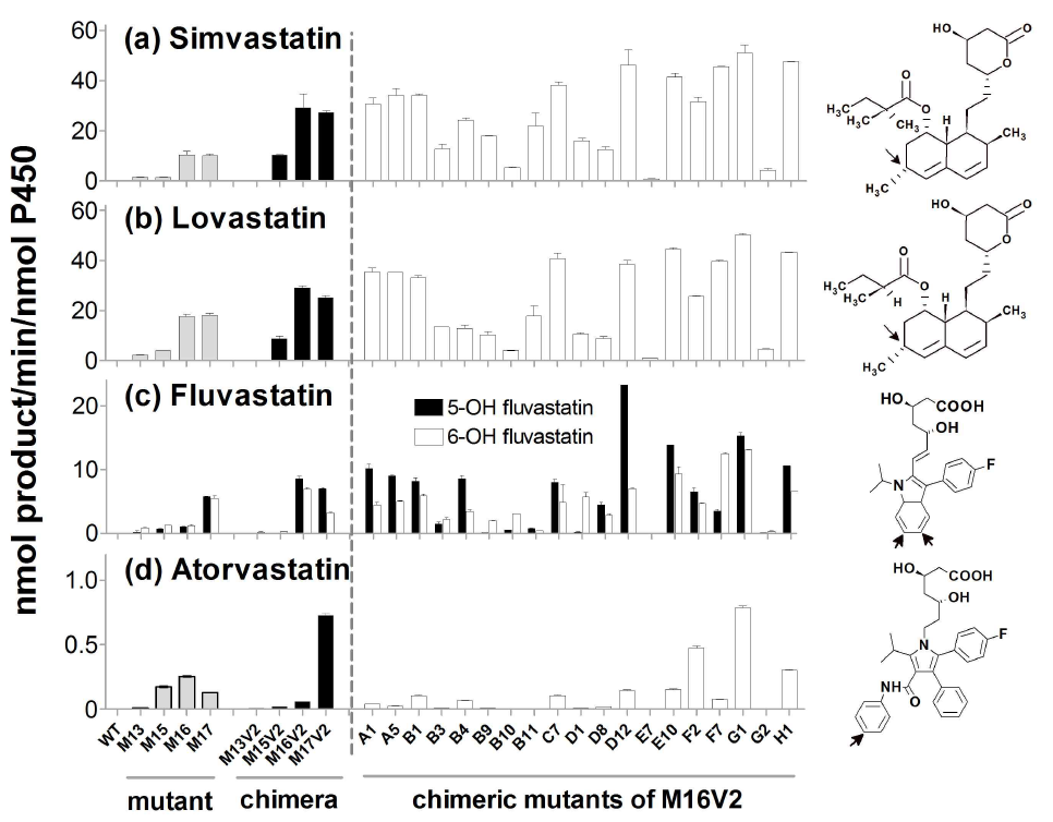 Catalytic activities of the mutants of chimera M16V2 toward statin drugs.
