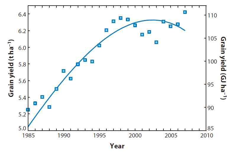 단위 면적 당 벼 생산량 변화 추이. Zhu 등 (Annu. Rev. Plant Biol., 2010)