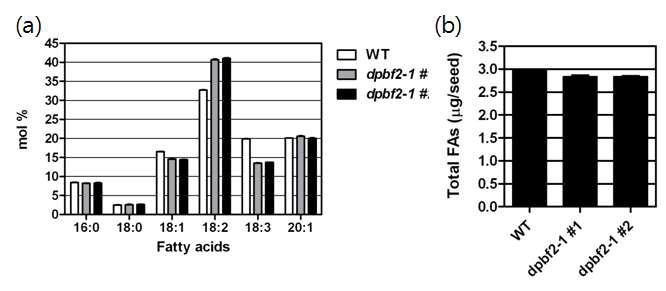 DPBF2 knockout 돌연변이체 dpbf2-1 종자의 지방산 조성과 지방량 측정 (a) 야생형 (WT)과 dpbf2-1 돌연변이체 종자 지방산 조성 분석 (b) 지방함량 비교 분석