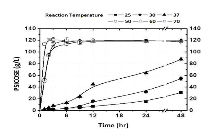 다양한 온도에서의 휴먼세포반응을 이용한 psicose 생산.