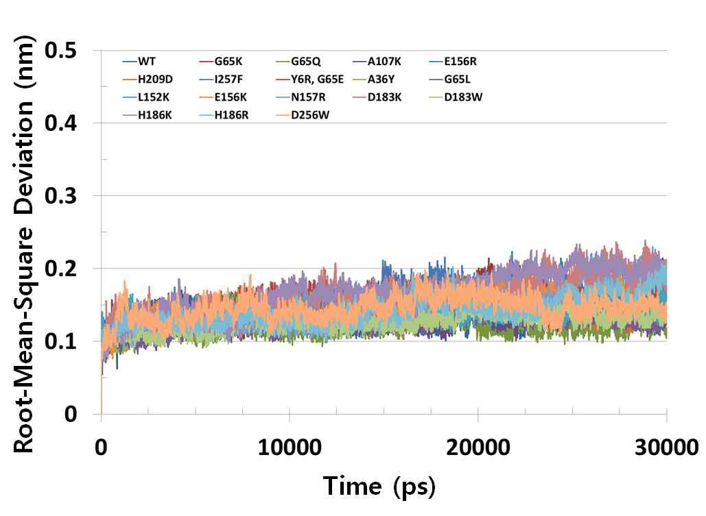 30ns 동안의 분자동력학 모의실험에 대한 RMSD 그래프