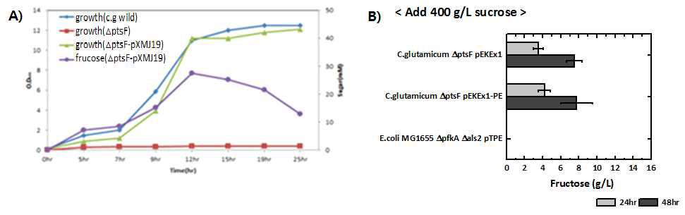 ptsF 변이주의 생육(A) 및 ptsF 변이주에서의 세포외 과당 축적(B)
