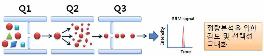 대사체의 고감도 선택적 분석을 위한 LC-MS/MS의 SRM 기법의 원리