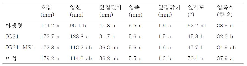 야생형, JG21, JG21-MS1 들잔디의 형태적 특징. 야생형 들잔디와 제초제저항성 들잔