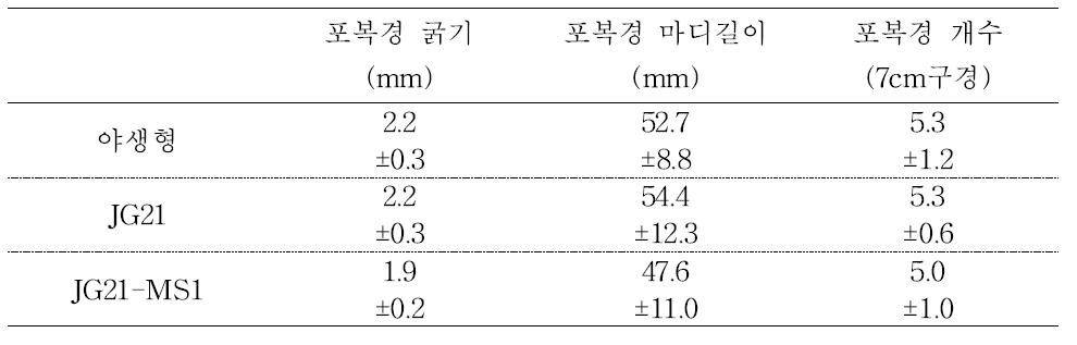 포복경의 생육 조사. 모든 항목에서 유의차가 없음.